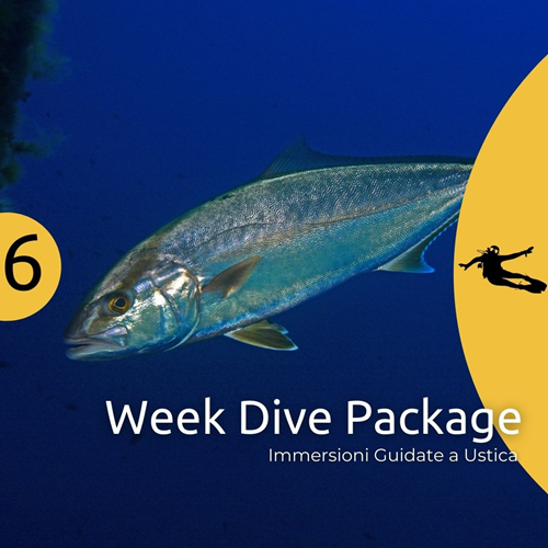 Ustica Week - 6 Dives